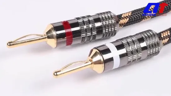 Spade Plug-in Low Voltage Auto Automotive Maxi Blade Auto Fuse
