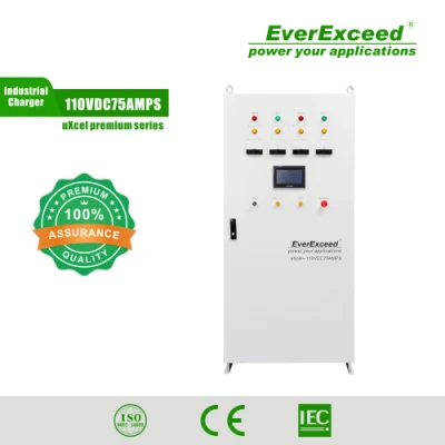 Одобрено RoHS 400V Everexceed Автомобильные зарядные устройства Промышленное зарядное устройство для аккумуляторов
