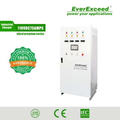 Стандартная сеть/PV Everexceed Производитель зарядных устройств для 1- или 3-фазных батарей подстанции